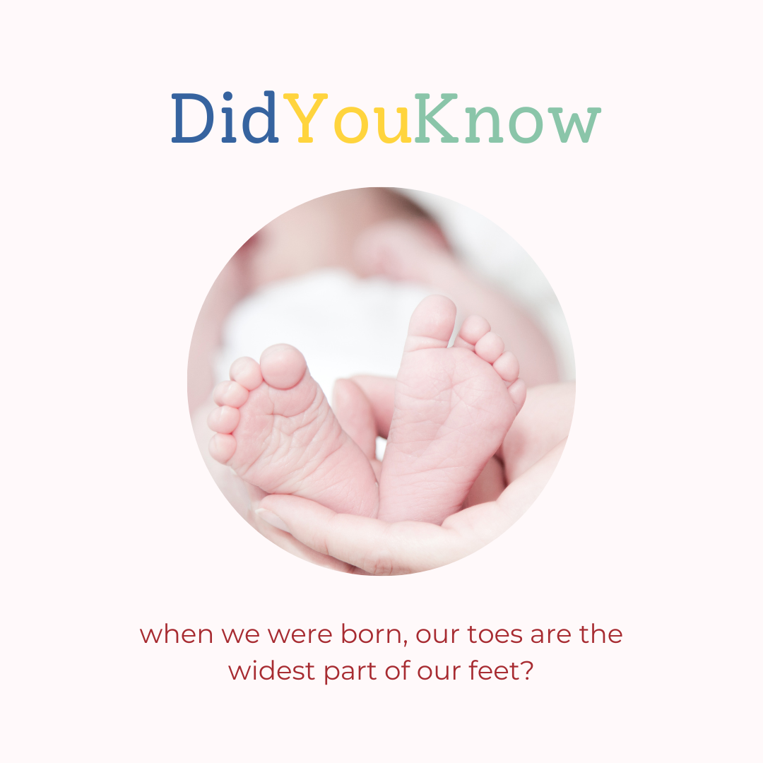 Did you know - our toes are the widest part of our feet when we were born?